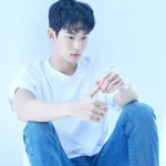 Kim Soo Hyun